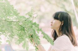 黄圣依又选不离婚