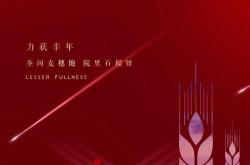 初十网络科技公司介绍