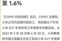 中植新能源汽车业绩分析与展望