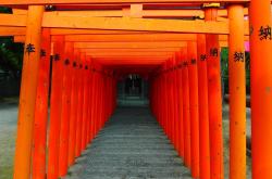 在靖国神社涂鸦的男子被日本公审