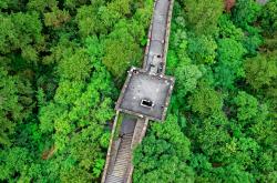 探索神秘的坟地风水学，守护家族安宁与繁荣的智慧