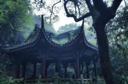清明祭英魂，缅怀追思间——记一次清明节的家族记忆