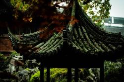 上海疫情，理解动态变化，保持乐观与准备