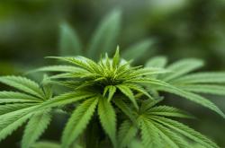 广州疫情新动态，了解最新的政策与应对措施