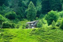 葛仙山疫情，防控措施与旅游安全指南