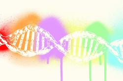 深泽县战疫，社区团结与科学防控的力量