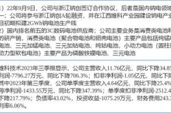 新能源汽车锂电池龙头股