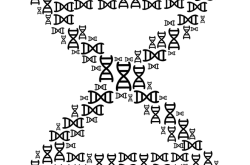 理解全员核酸检测暂停，科学决策与健康保护