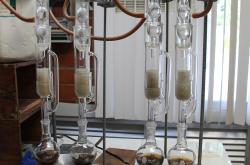 美国疫情风暴，新冠病毒确诊超165万的严峻现实与未来展望