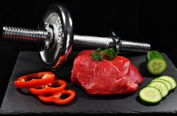 肌肉解剖图谱大全图解高清，深入探索人体肌肉结构的奥秘