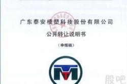 广东泰安模塑