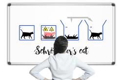 薛定谔的猫，量子力学的悖论与哲学思考