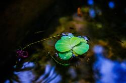 谷雨时节，春末的雨，农耕的诗