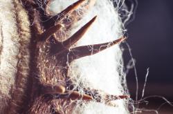 穿梭现实与幻想，一位中年男子的异世界网购奇遇