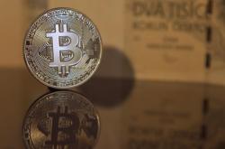 海棠币攻略，全面解析如何高效获取与使用