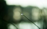 谷雨时节，探索中国传统节气的小知识与习俗