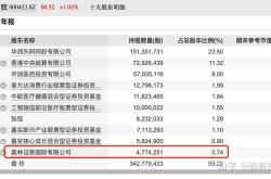 新能源龙头企业股票