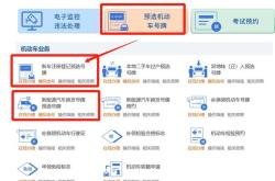 新能源车上牌标准概述