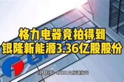 天津银隆新能源招标流程与注意事项