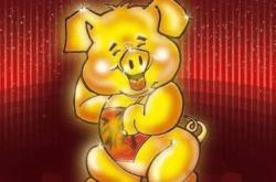 金牛座紫微星今日运势查询
