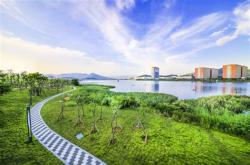 宁德新能源湖西综合评价和建议