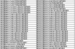 怎么取消新能源指标