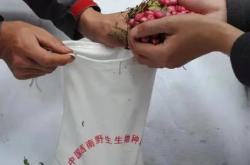 科技创新平台的应用