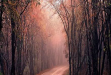 性能暴增%！微软全新图赏