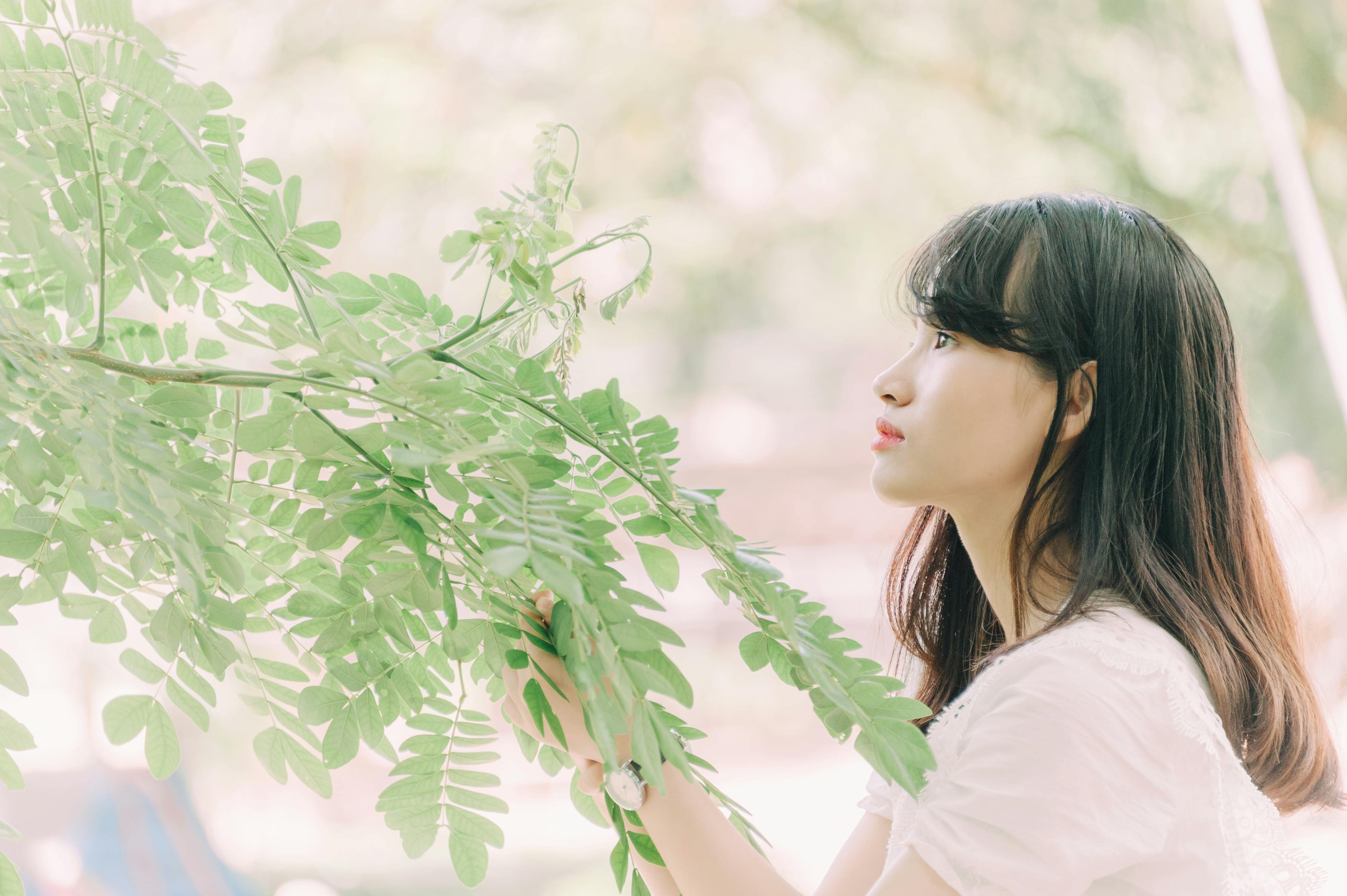 黄圣依又选不离婚