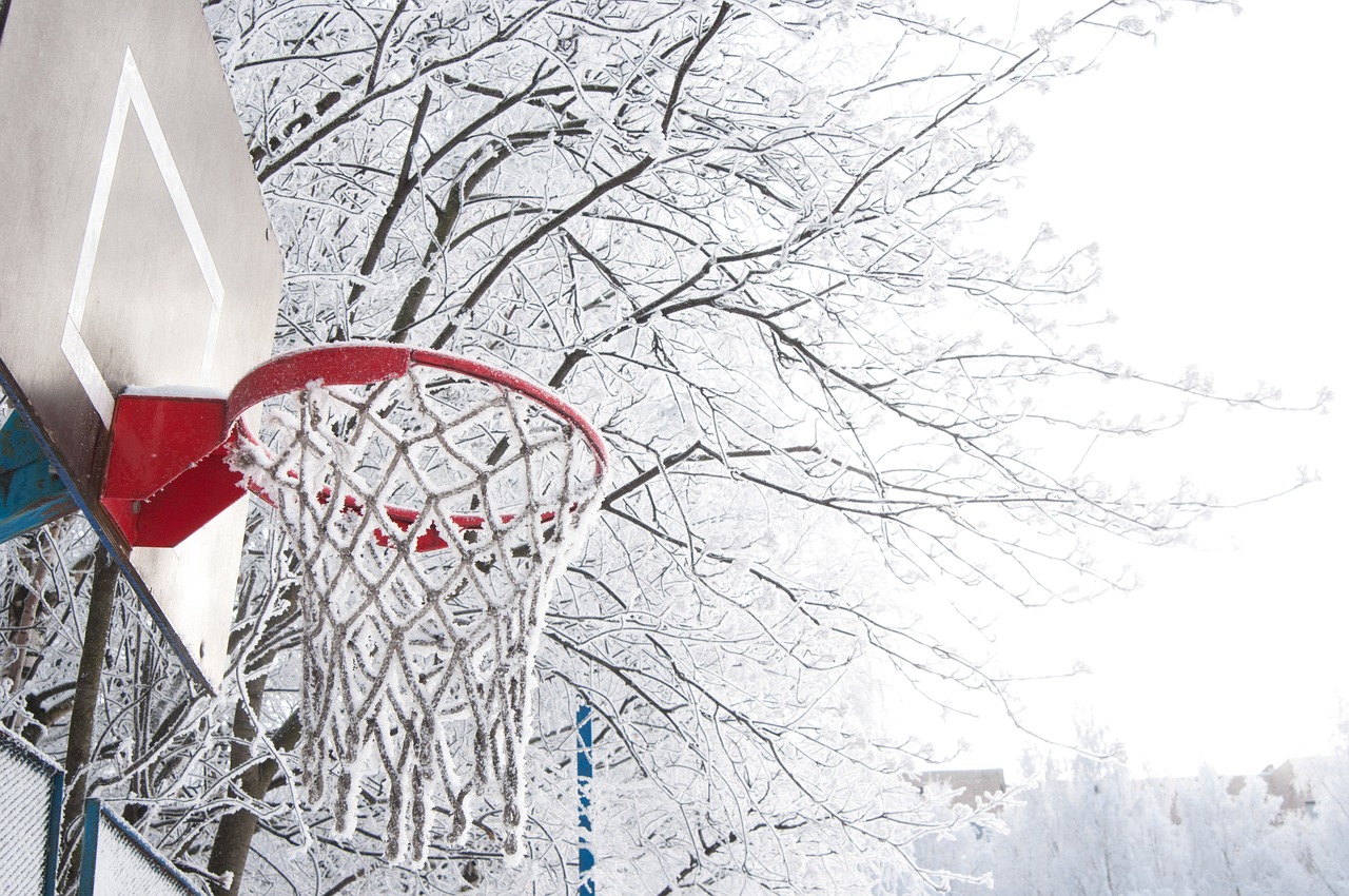 东北的大雪，纷纷扬扬，铺满了整个大地。在这冰天雪地中，一群东北小孩正在玩耍。他们穿着五颜六色的棉衣，在雪地中奔跑，笑声回荡在空中。